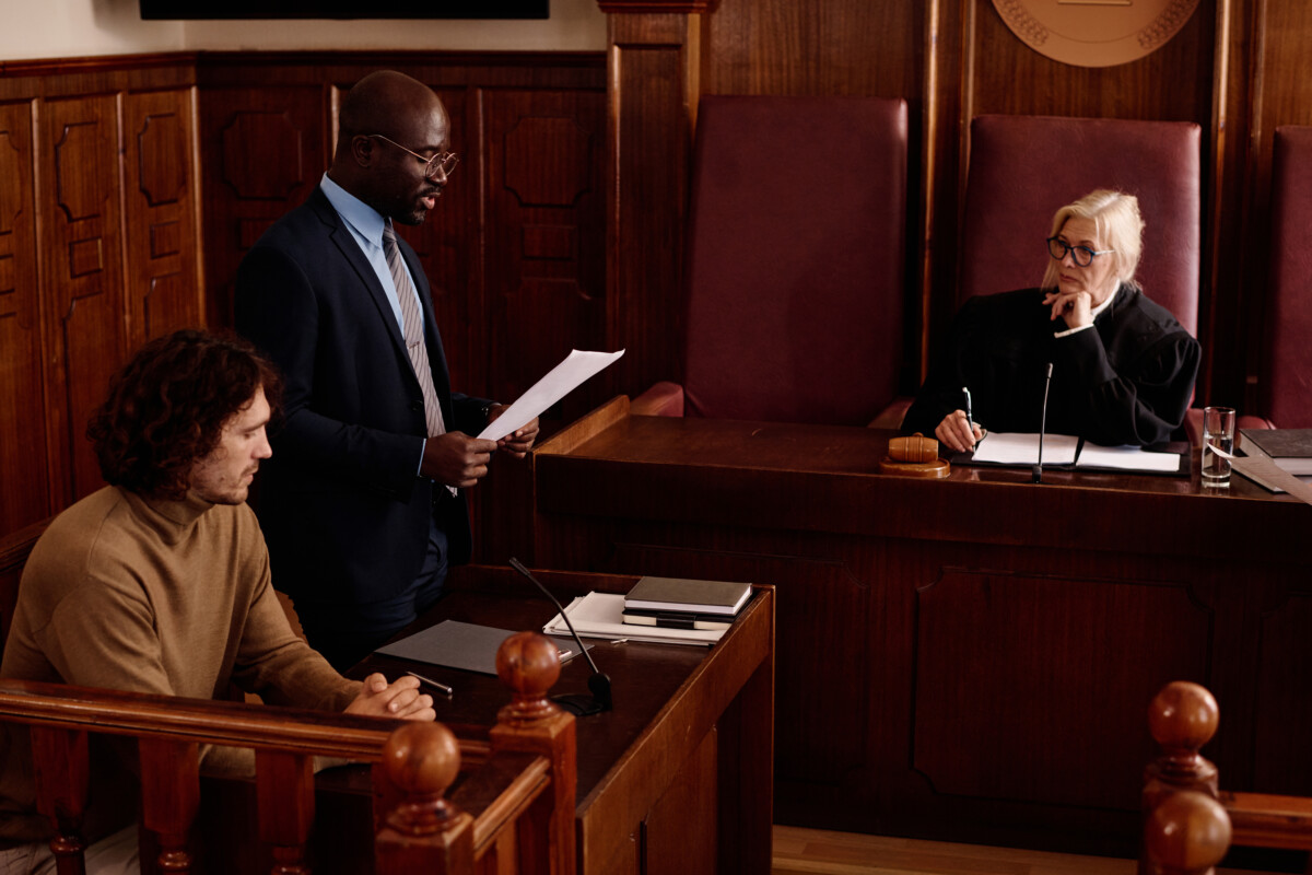 What Is the Role of the Defendant and Prosecution in Court?